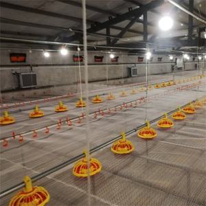 Structure de élevage de volaille commerciale en acier, caisses à volaille et abri de repos - Product Image 2