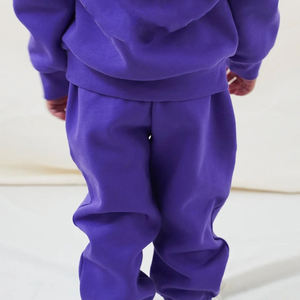 Conjuntos de Chándales para Niños Personalizados OEM, Conjunto de Dos Piezas Transpirable e Informal con Sudadera con Capucha, Felpa de Alta Calidad para Invierno - Product Image 4