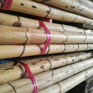 Bastones de Ratán con Buen Color, Bastones de Ratán con Precio Competitivo, Bastones de Ratán en Vietnam - Product Image 3