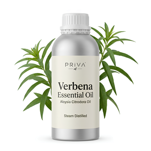 Organic Verbena Essential Oil Bulk Ecocert MA Wholesale Respiratory <b>Calming</b> Pain Relief Smooth Cosmetic Grade - Product Image 1