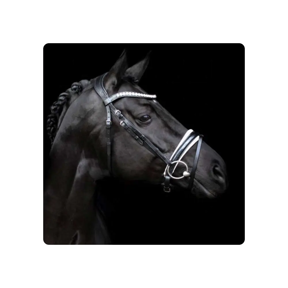 Horse CROWN MYSTERY BRIDLE IN BLACK/WHITE/GLITTER PATENT/Specification product leather bridle /Top Seller Medium Moving bridle