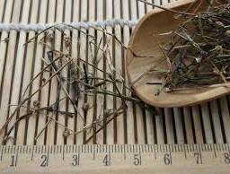 ชาสมุนไพรเฮดิโอติส ดิฟฟูซ่า วิลด์ แบบแห้ง เกรดอาหาร และการใช้ในการแปรรูปแบบดั้งเดิม - Product Image 3