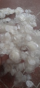 เครื่องชั่งปลานิลสำหรับคอลลาเจน/เกล็ดปลาแห้งจากเวียดนาม - Product Image 5