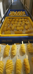 Piña congelada de Vietnam | IQF en cubitos/en rodajas | Suministro mayorista - Product Image 4