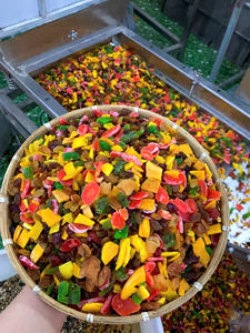 USAGE VARIETY DRIED SOFT FRUIT NATURAL <b>CHEWY</b> DRIED FRUITS BEST SNACK FROM VIETNAM BLUE LOTUS - Product Image 6