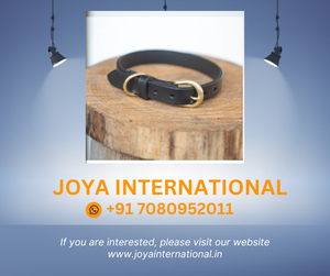 Collar clásico para perro, 20mm, marrón oscuro - Product Image 2