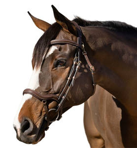 Bride de cavalier anatomique exportation Style supérieur Bride inégalée Abordable Rênes en caoutchouc Acier inoxydable Luxe - Product Image 1