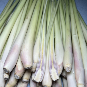 PISTE DE CITRONELLE CONGELÉE DE QUALITÉ SUPÉRIEURE 100% NATUREL FABRIQUÉ AU VIETNAM - Product Image 2