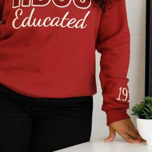HBCU Delta éduqué Chenille Crewneck sweat Premium polaire sororité vêtements grec DST Maroon Pride hiver avant - Product Image 5