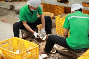 Venta al por mayor de leche de coco vegana natural 100% de alta calidad de coco puro y maduro a precios económicos de Vietnam - Product Image 6