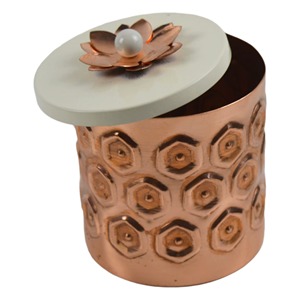 Boîte à épices en acier inoxydable et cuivre, garde les épices essentielles bien organisées dans un seul endroit compact, étanche, passe au lave-vaisselle - Product Image 1