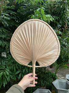 Proveedor directo Abanico de mano de bambú/Abanico de mano de hoja de palma para fiesta de verano evento boda para exportar - Product Image 3