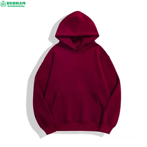 Sweat-shirt à capuche pour homme de haute qualité, coupe classique, style streetwear d'hiver, 100% coton, doublure en polaire, écologique, lourd - Product Image 2