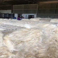 Fibre de Sisal Naturelle Blanche de Qualité Supérieure 3L 3S UG SSUG Écologique 90cm Grade A KE pour Béton et Filage (Motif Brut)