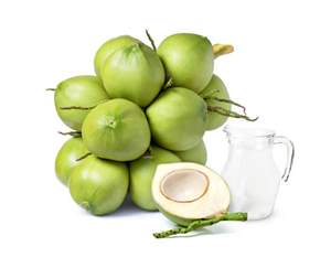 Noix de coco jeune et fraîche au goût sucré et à la texture lisse - Product Image 6