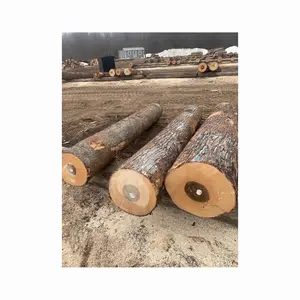 Obral besar kayu Bunn pinus, kayu, Iroko, Bolinga, Oak Logs dari semua jenis