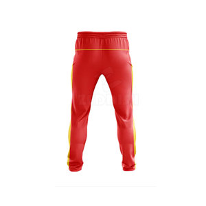 Wholesale OEM Custom Cricket Uniform with Jersey and Pant Custom Logo Print Custom Color Custom Size High Quality - Product Image 6