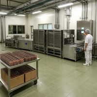 Turnkey chocolademachine en chocoladeproductielijn voor chocoladefabriek bakkerij koeltunnel ontvormer