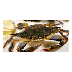 Cangrejos de carapaxo blando económicos, ideales para platos gourmet y especialidades de mariscos - Product Image 6