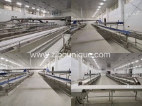 Machine d'abattage de porcs haute capacité, équipement d'abattoir de porcs, ligne de transformation de viande de porc