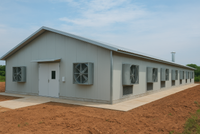 Edificio Prefabricado de Acero para Aves de Corral, para Granjas de Pollos de Engorde, con Sistema de Ventilación y Diseño Personalizado