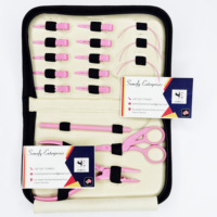 Beste prijs op maat gemaakte logo roze poederkleurige coatingkit slimme metalen haarverlengingsset van hoge kwaliteit voor regelmatig gebruik haarverzorgingsgereedschap