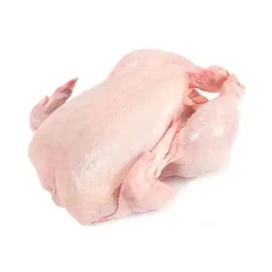 Viande de poulet congelée entière de volaille fraîche de qualité supérieure la plus vendue à bas prix