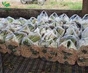 Pack de variétés de citronnelle congelée IQF biologique de qualité supérieure-Grade a frais et séché - Product Image 4