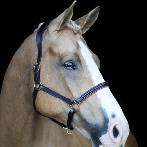 Bella Leather Halter High Quality Eco-Friendly Design <b>Butter</b> Soft and <b>Plush</b> Gel-Padded - Product Image 3