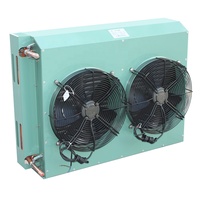 Condenseur refroidi par air de ventilateurs du rendement élevé deux pour l'unité de condensation industrielle de chambre froide