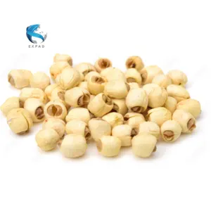 LOTUS SEEDS EXPORTED TO HONG KONG MARKET BULK/ HIGH QUALITY WHOLESALE LOTUS SEEDS