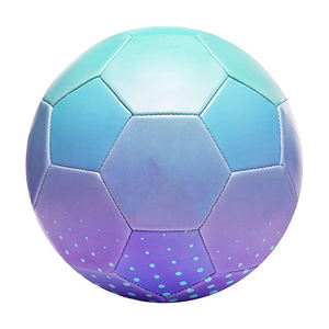 Venta caliente OEM Diseño de logotipo personalizado Portería de fútbol de alta calidad Tamaño personalizado Vejiga de butilo Nuevo estilo duradero - Product Image 6