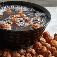 Savon séché naturel de qualité supérieure noix nettoyage lessive noix de savon moins cher prix soapberries à vendre