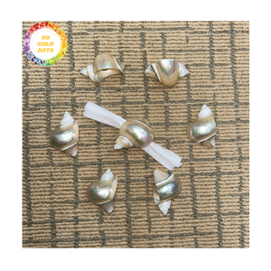 Rond de serviette en coquille de mer fait à la main à partir de coquille turbo naturelle utilisée pour la décoration de table ou le cadre de restaurant exporté du Vietnam - Product Image 1
