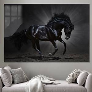 Décoration murale élégante avec cheval noir, toile imprimée, style ferme, verre - Product Image 1