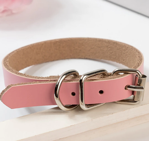 Collier de chien en cuir vert de haute qualité pour lévrier et Whippet - Product Image 1