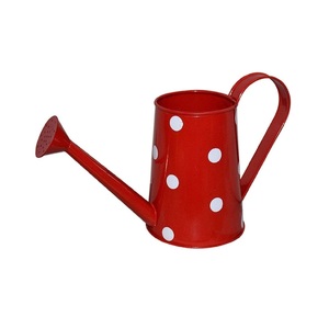 Luxury Watering Can Galvanized Simple Metal Water Can creative vintage water <b>cane</b> <b>garden</b> logo print watering can - Product Image 5