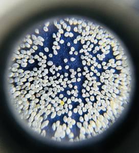 Abrasifs série rotative, médias de sablage avec différentes tailles de mailles, y compris 6-8 SPC 8-10 SPC 500 SPC 16/18 60/80 Mesh - Product Image 4