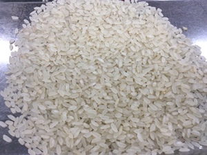 La mejor oferta, arroz jazmín vietnamita, arroz blanco de grano medio, arroz Calrose fresco, VILACONIC fábricas, comida larga, WhatsApp - Product Image 3