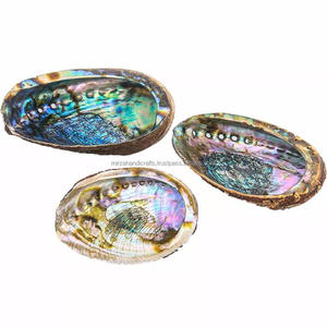 Quemador de incienso de concha de abulón estándar con diseño único, cuenco para difuminar estilo amor náutico con Interior de arcoíris - Product Image 4