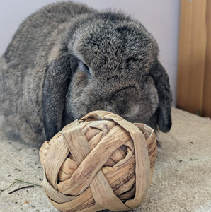 ผักตบชวาธรรมชาติเป็นมิตรกับสิ่งแวดล้อมเคี้ยวของเล่นสำหรับสัตว์ขนาดเล็กและสุนัขสำหรับหนูแฮมสเตอร์กระต่ายสุนัขเคี้ยว - Product Image 5