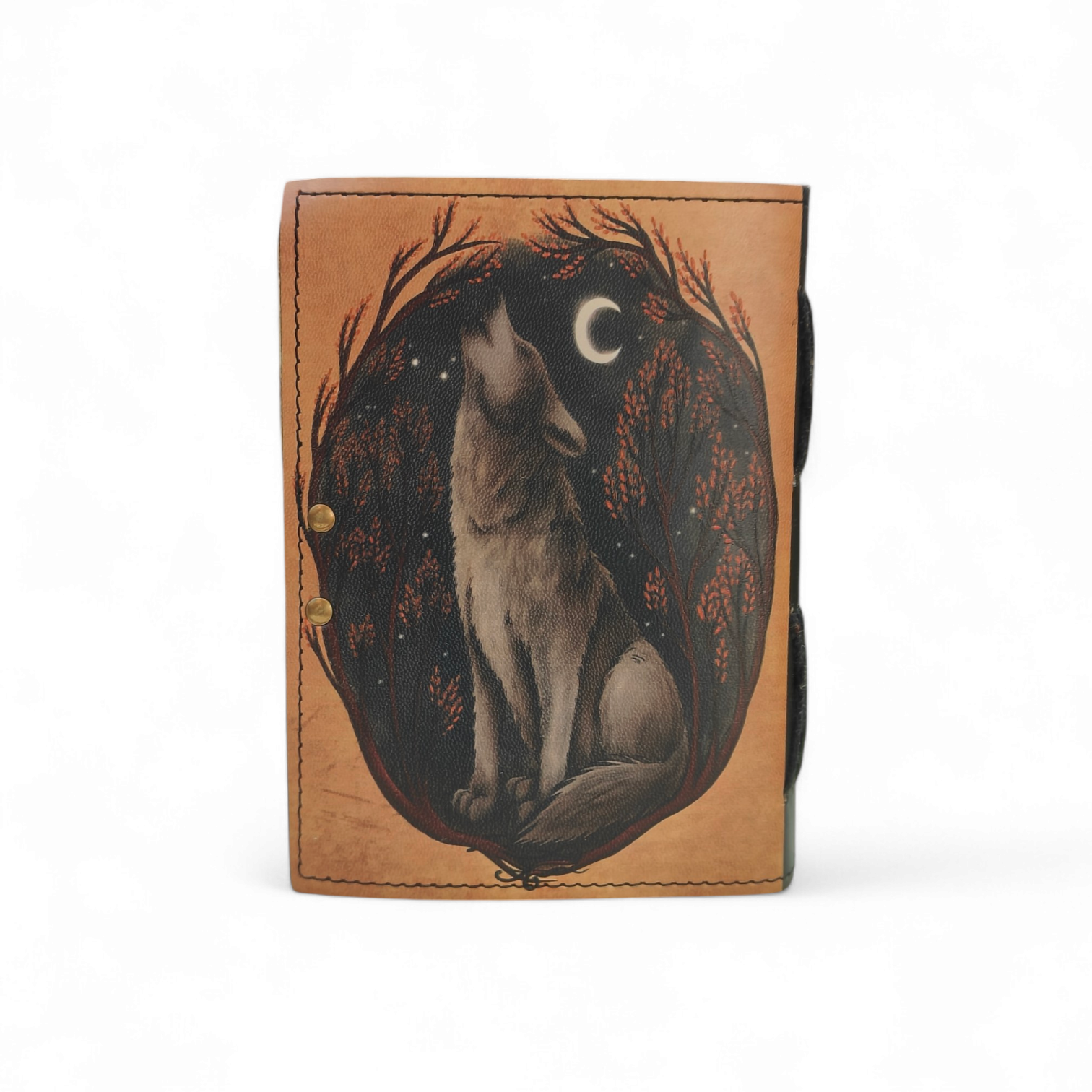 สีน้ำตาล