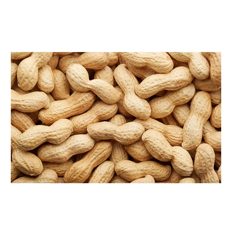 Cacahuetes blanqueados tostados de grado premium orgánicos naturales al por mayor cacahuetes blanqueados divididos con láser para clasificar cacahuetes, nueces y granos