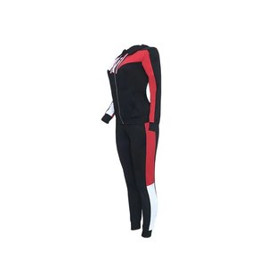Femmes décontracté Sport hiver 2 pièces ensemble à capuche polaire tissu sweat à capuche zippé Joggers Patchwork Design motif solide séchage rapide - Product Image 3