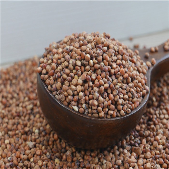 Best Seller Red Sorghum Grains/Red Seeds Sorghum Beans/ Wholesale Agriculture Supplies White Sorghum Seeds Supplier