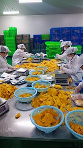 มะม่วงอบแห้งจากผลไม้ธรรมชาติ100% ในเวียดนาม - Product Image 5