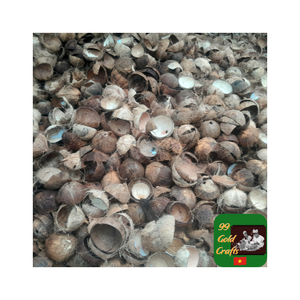 Suministro directo de fábrica de cáscara de coco para aplicaciones de carbón Proyectos artesanales y decoración de interiores o jardines a granel - Product Image 4