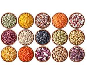 Lentilles rouges vertes et brunes biologiques dans des ingrédients alimentaires séchés à motif entier au prix de gros avec emballage en vrac - Product Image 5