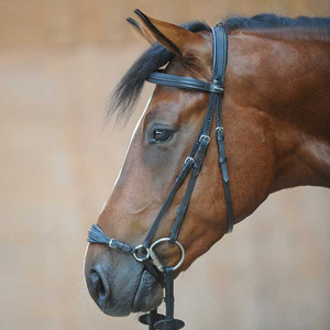 Drop Noseband Brida Deportes y entretenimiento al aire libre Asequible Deportes de lujo Carreras de caballos Brida Personalización Bitless brida - Product Image 3