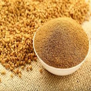Extracto de Semilla de Fenogreco Natural de Alta Calidad, Marca MKJ, Origen Assam, 24 Meses de Duración, Ingredientes Alimenticios - Product Image 6